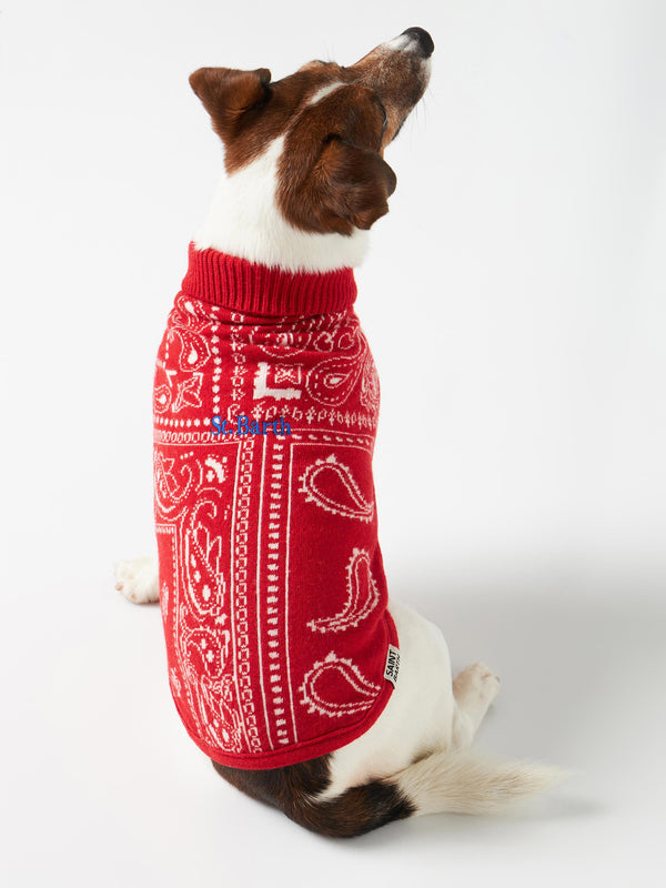 Dog sweater with bandanna print