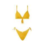 Woman triangle bikini with cheeky swim briefs