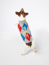 Hundepullover mit Argyle-Print