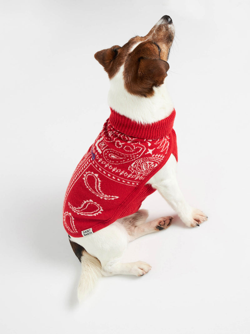 Dog sweater with bandanna print