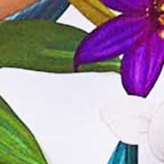 Woman triangle bikini with tropical flower print
