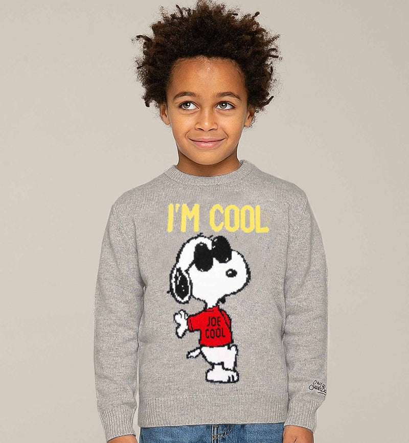 Snoopy Cool boy grey sweater - Special Edition