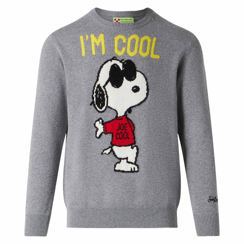 Man sweater with grey Rock Snoopy | SNOOPY - PEANUTS™ SPECIAL EDITION